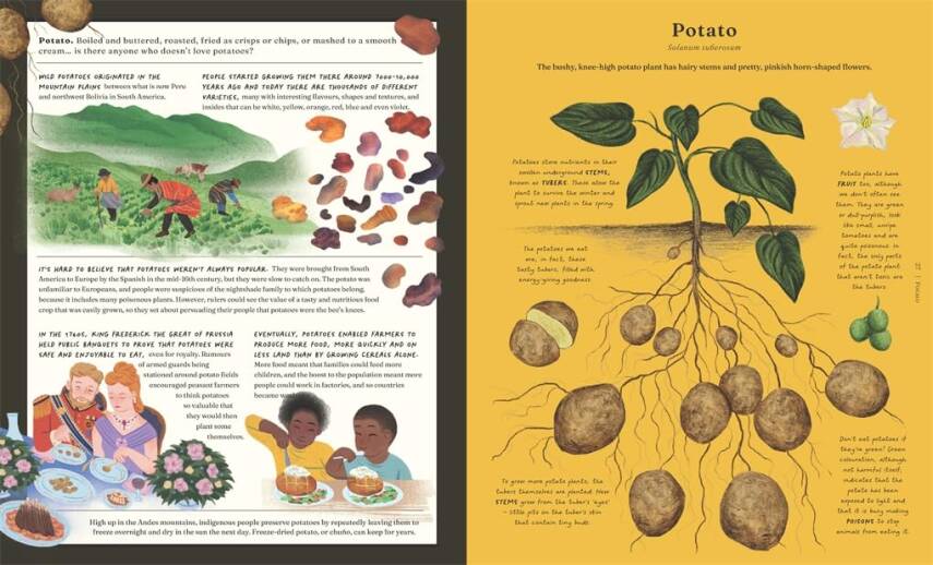 The Stuff that Stuff is Made of  - 6