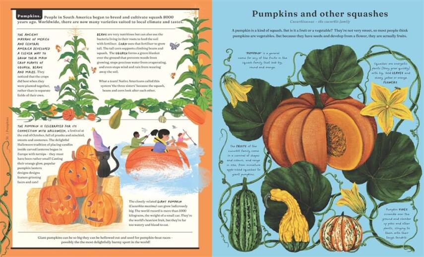 The Stuff that Stuff is Made of  - 7