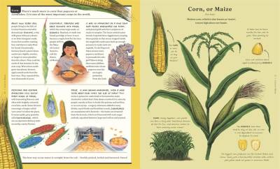 The Stuff that Stuff is Made of  - 8