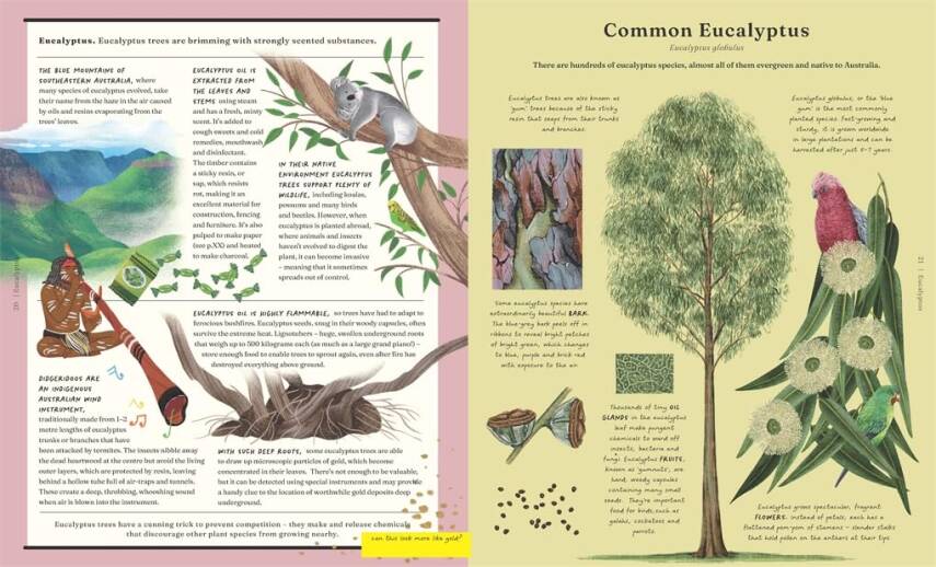 The Stuff that Stuff is Made of  - 9