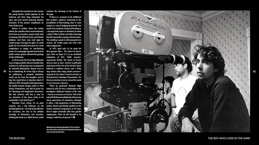 Tim Burton: The Iconic Filmmaker and His Work - 3