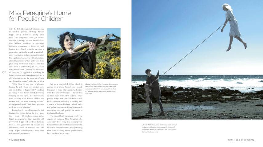 Tim Burton: The Iconic Filmmaker and His Work - 6