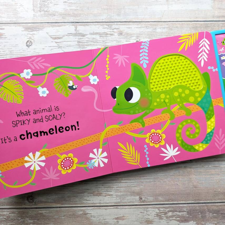 Touch & Feel in the Jungle - 4