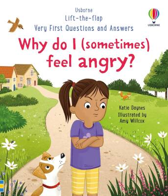 Very First Questions and Answers: Why do I (sometimes) feel angry? - Usborne