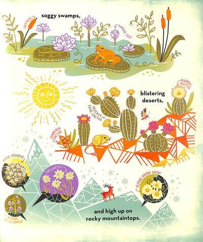 What's Inside a Flower? - 2