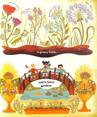 What's Inside a Flower? - 3