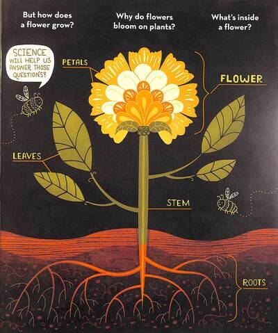 What's Inside a Flower? - 4