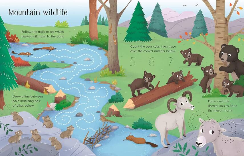 Wipe-Clean: Nature Activities - 2