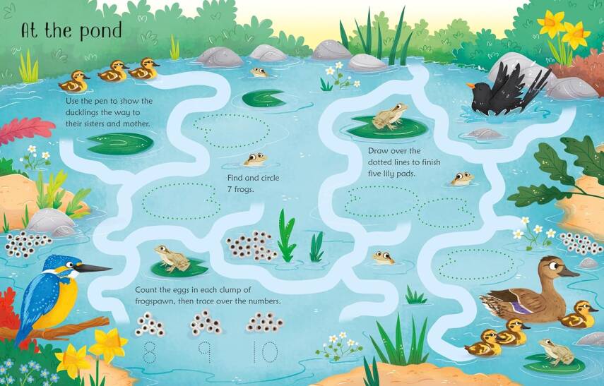 Wipe-Clean: Spring Activities - 3