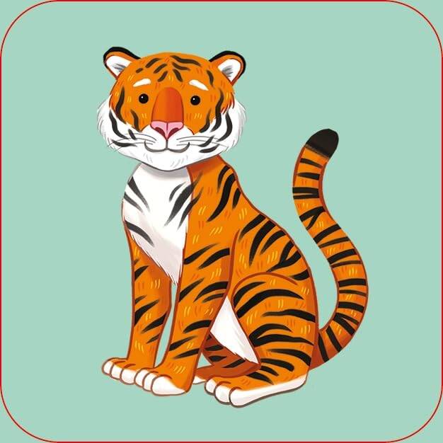 Zoo Matching Games and Book - 5