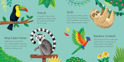 Zoo Matching Games and Book - 7