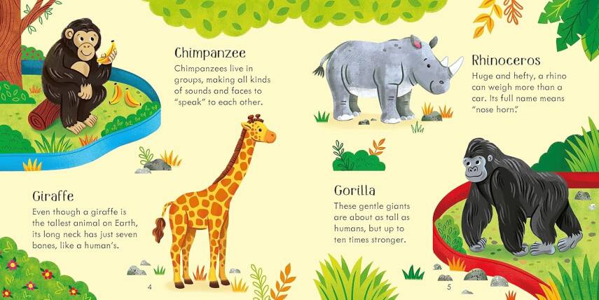 Zoo Matching Games and Book - 8